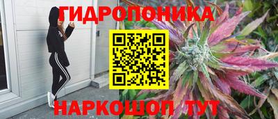 2c-b Славгород